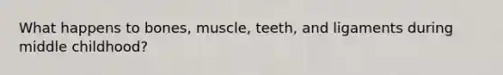 What happens to bones, muscle, teeth, and ligaments during middle childhood?