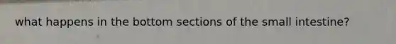 what happens in the bottom sections of the small intestine?