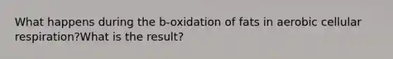 What happens during the b-oxidation of fats in aerobic cellular respiration?What is the result?