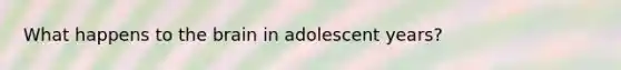 What happens to the brain in adolescent years?
