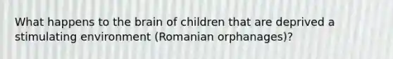 What happens to the brain of children that are deprived a stimulating environment (Romanian orphanages)?