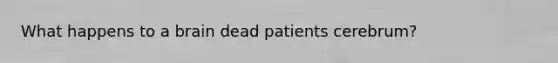 What happens to a brain dead patients cerebrum?