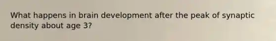 What happens in brain development after the peak of synaptic density about age 3?