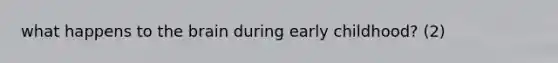 what happens to the brain during early childhood? (2)