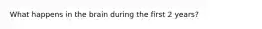 What happens in the brain during the first 2 years?