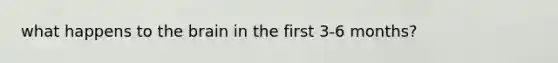 what happens to the brain in the first 3-6 months?
