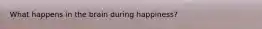 What happens in the brain during happiness?