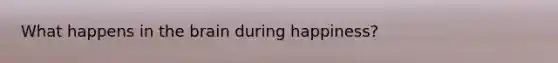 What happens in the brain during happiness?