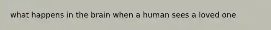 what happens in <a href='https://www.questionai.com/knowledge/kLMtJeqKp6-the-brain' class='anchor-knowledge'>the brain</a> when a human sees a loved one