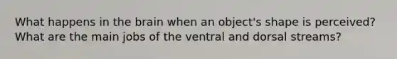 What happens in the brain when an object's shape is perceived? What are the main jobs of the ventral and dorsal streams?