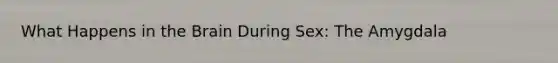 What Happens in the Brain During Sex: The Amygdala
