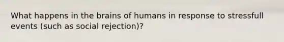 What happens in the brains of humans in response to stressfull events (such as social rejection)?