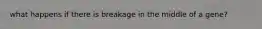 what happens if there is breakage in the middle of a gene?