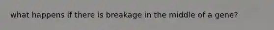 what happens if there is breakage in the middle of a gene?