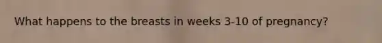What happens to the breasts in weeks 3-10 of pregnancy?