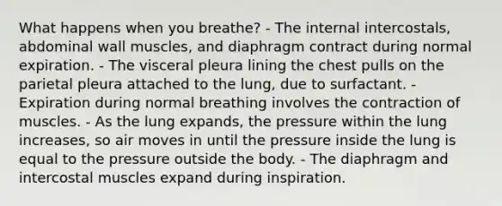 What happens when you breathe? - The internal intercostals, abdominal wall muscles, and diaphragm contract during normal expiration. - The visceral pleura lining the chest pulls on the parietal pleura attached to the lung, due to surfactant. - Expiration during normal breathing involves the contraction of muscles. - As the lung expands, the pressure within the lung increases, so air moves in until the pressure inside the lung is equal to the pressure outside the body. - The diaphragm and intercostal muscles expand during inspiration.