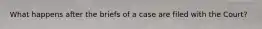 What happens after the briefs of a case are filed with the Court?