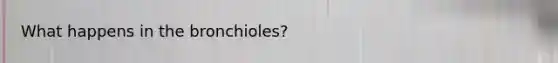 What happens in the bronchioles?