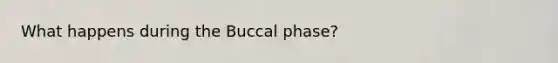 What happens during the Buccal phase?