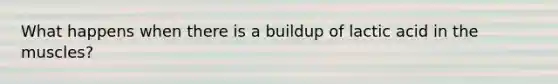 What happens when there is a buildup of lactic acid in the muscles?