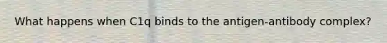 What happens when C1q binds to the antigen-antibody complex?