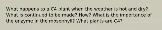 What happens to a C4 plant when the weather is hot and dry? What is continued to be made? How? What is the importance of the enzyme in the mosephyll? What plants are C4?