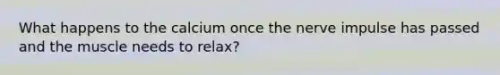 What happens to the calcium once the nerve impulse has passed and the muscle needs to relax?