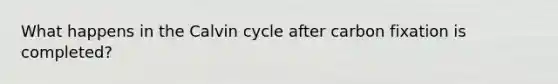 What happens in the Calvin cycle after carbon fixation is completed?