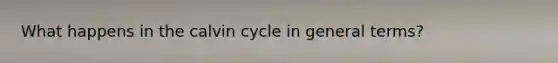 What happens in the calvin cycle in general terms?