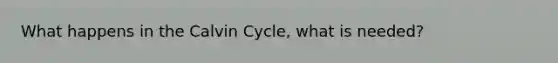 What happens in the Calvin Cycle, what is needed?