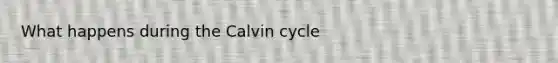 What happens during the Calvin cycle