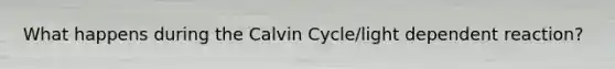 What happens during the Calvin Cycle/light dependent reaction?