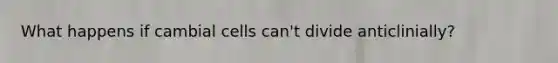What happens if cambial cells can't divide anticlinially?