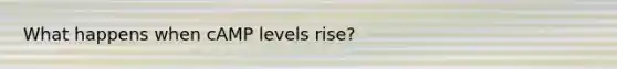 What happens when cAMP levels rise?