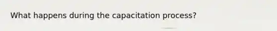 What happens during the capacitation process?