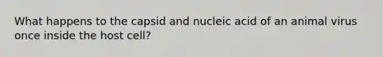 What happens to the capsid and nucleic acid of an animal virus once inside the host cell?