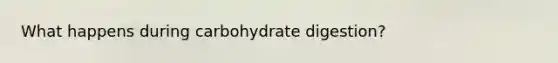 What happens during carbohydrate digestion?