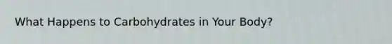 What Happens to Carbohydrates in Your Body?