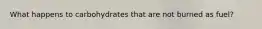 What happens to carbohydrates that are not burned as fuel?