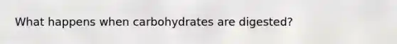 What happens when carbohydrates are digested?