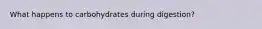 What happens to carbohydrates during digestion?