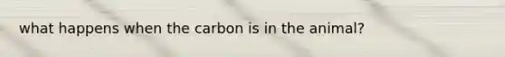 what happens when the carbon is in the animal?