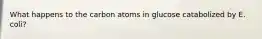 What happens to the carbon atoms in glucose catabolized by E. coli?