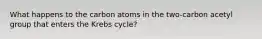 What happens to the carbon atoms in the two-carbon acetyl group that enters the Krebs cycle?