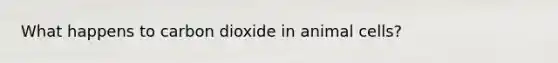What happens to carbon dioxide in animal cells?