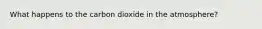 What happens to the carbon dioxide in the atmosphere?