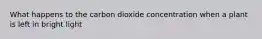 What happens to the carbon dioxide concentration when a plant is left in bright light