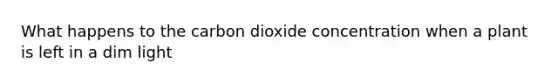 What happens to the carbon dioxide concentration when a plant is left in a dim light