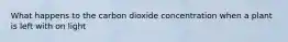 What happens to the carbon dioxide concentration when a plant is left with on light
