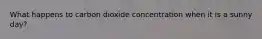 What happens to carbon dioxide concentration when it is a sunny day?